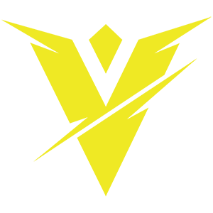 Vizido Logo